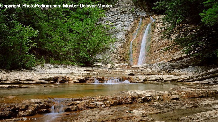 Creek, Outdoors, River, Water, Plant, Potted Plant, Forest