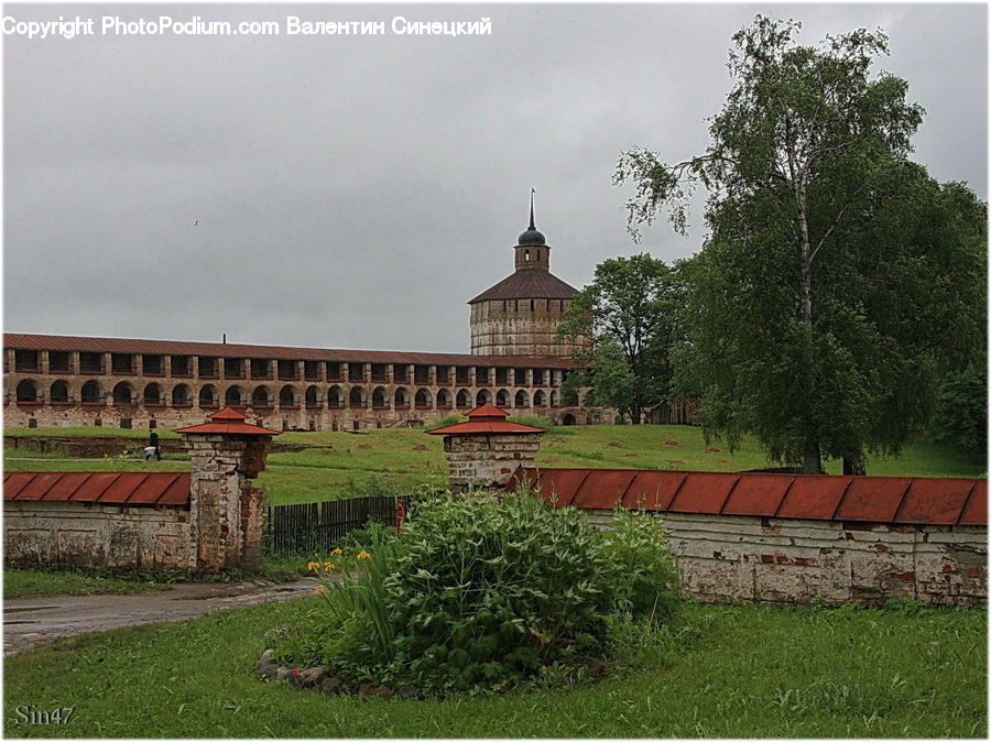 Plant, Potted Plant, Garden, Brick, Countryside, Outdoors, Field