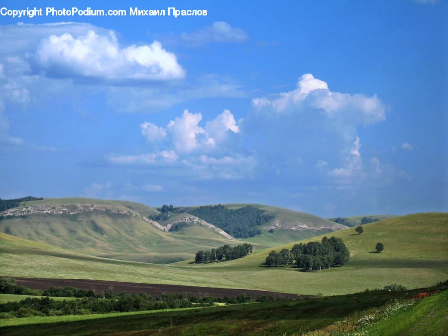 Field, Grass, Grassland, Land, Outdoors, Countryside, Hill