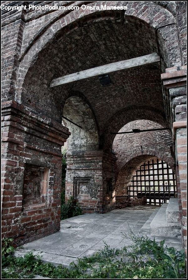 Plant, Potted Plant, Path, Sidewalk, Walkway, Brick, Arch