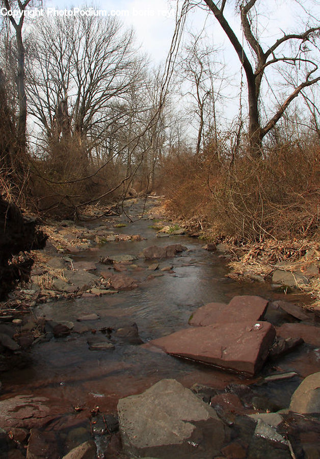 Brownie, Chocolate, Dessert, Food, Fudge, Creek, Outdoors