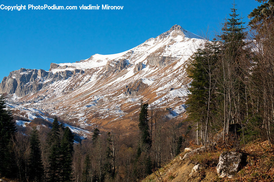 Crest, Mountain, Outdoors, Peak, Mountain Range, Conifer, Fir
