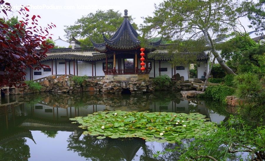 Outdoors, Pond, Water, Plant, Potted Plant, Roof, Building