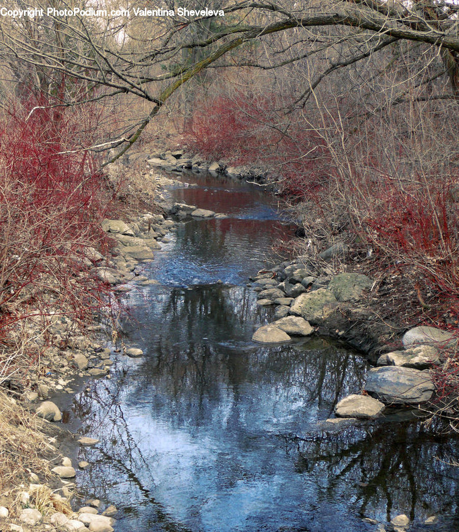 Creek, Outdoors, River, Water, Rock, Pond, Landscape