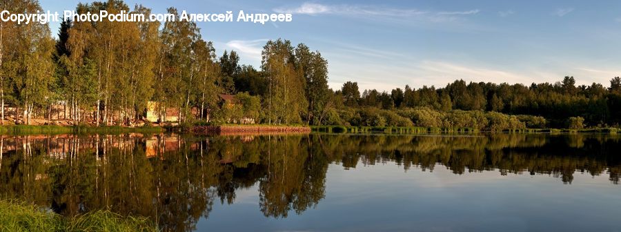 Conifer, Fir, Plant, Tree, Lake, Outdoors, Water