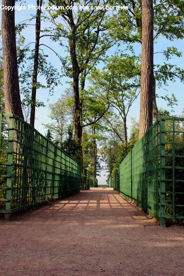 Path, Road, Walkway, Cobblestone, Pavement, Alley, Alleyway