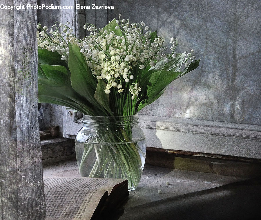 Plant, Potted Plant, Pot, Pottery, Flower, Flower Arrangement, Flower Bouquet