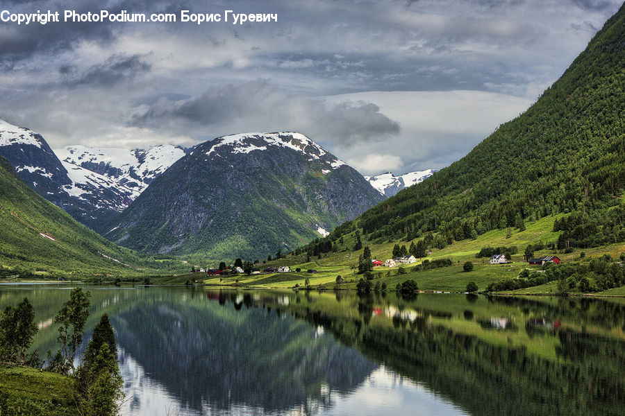 Nature, Outdoors, Pond, Water, Field, Grass, Grassland