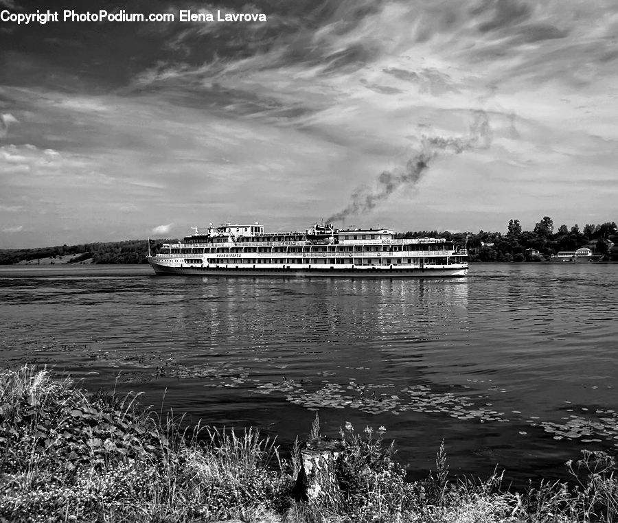 Cruise Ship, Ocean Liner, Ship, Vessel, Water, Ferry, Freighter
