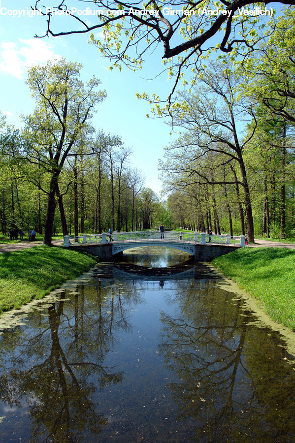 Canal, Outdoors, River, Water, Bridge, Pond, Forest