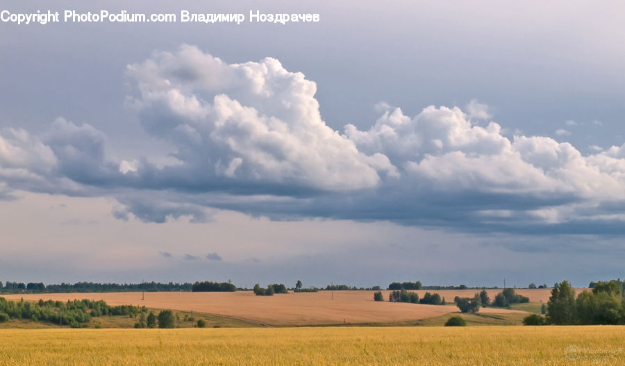 Cloud, Cumulus, Sky, Field, Grass, Grassland, Land