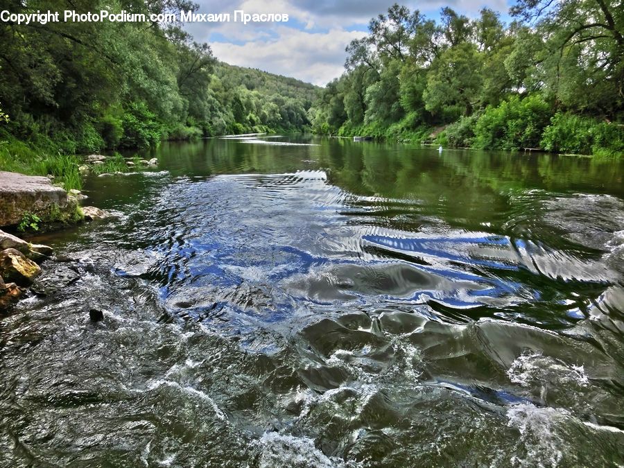 Creek, Outdoors, River, Water, Stream, Rock, Forest