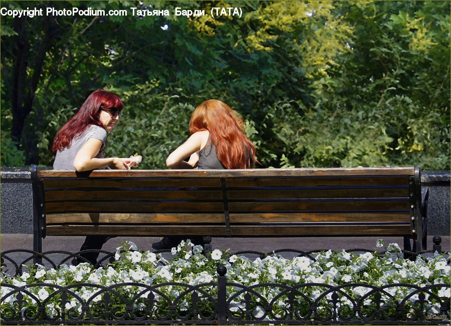 People, Person, Human, Bench, Park Bench, Fence, Female