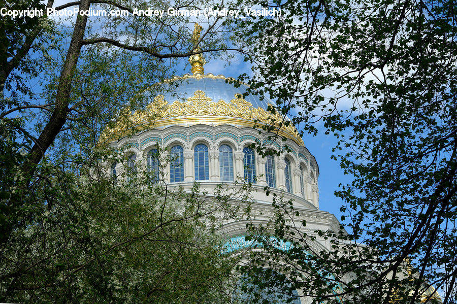 Architecture, Dome, Bell Tower, Clock Tower, Tower, Plant, Tree