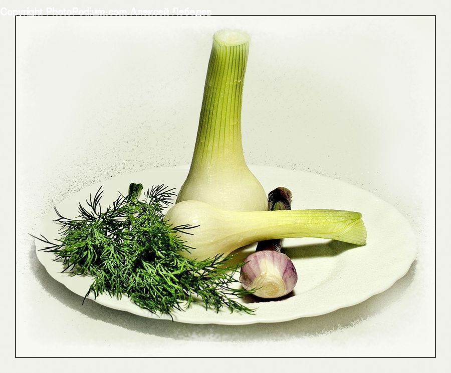 Garlic, Plant, Onion, Produce, Shallot, Vegetable, Herbal