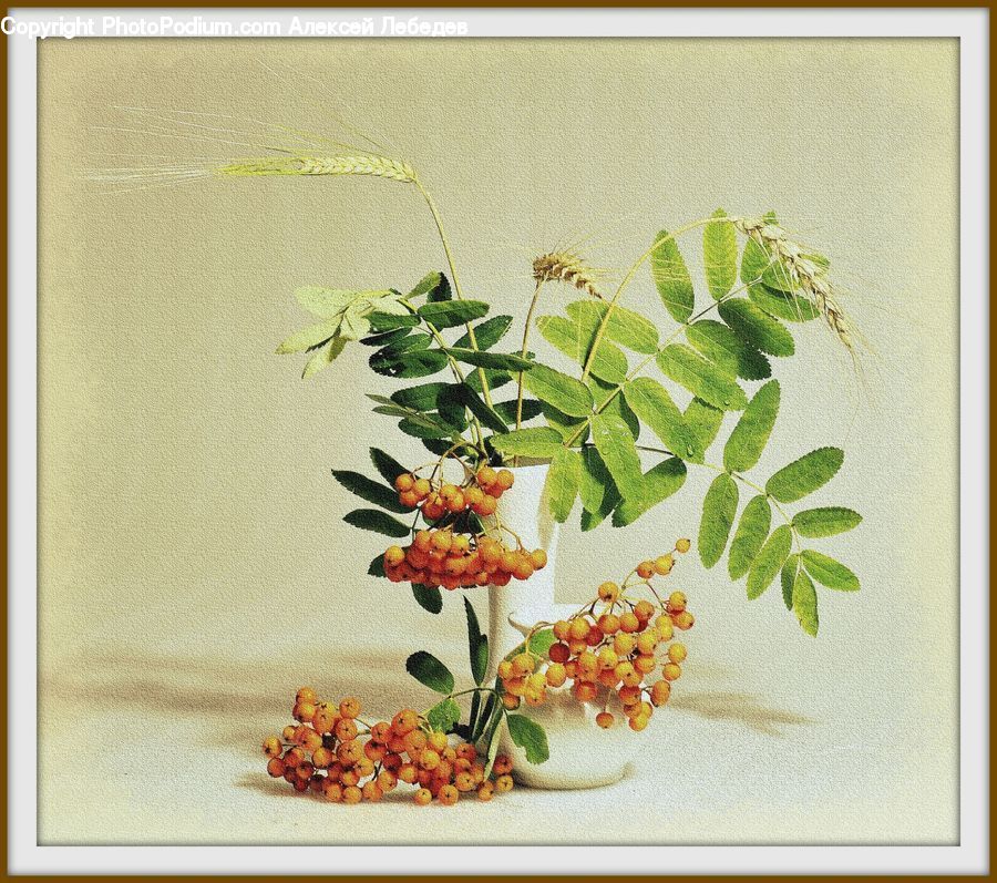 Flower Arrangement, Ikebana, Plant, Potted Plant, Vase, Floral Design, Herbal