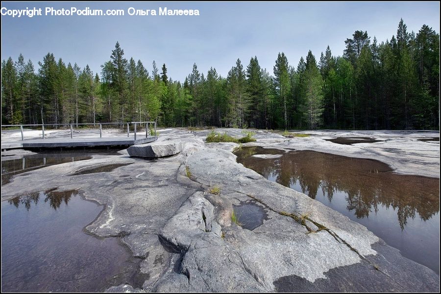 Basin, Outdoors, Flood, Forest, Vegetation, Dock, Landing