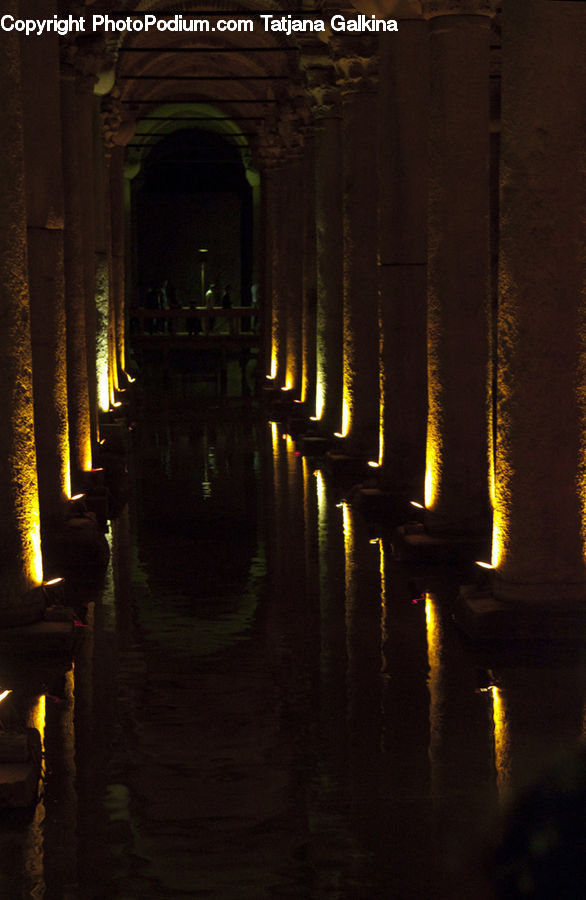 Plant, Potted Plant, Crypt, Corridor, Arch, Altar, Architecture
