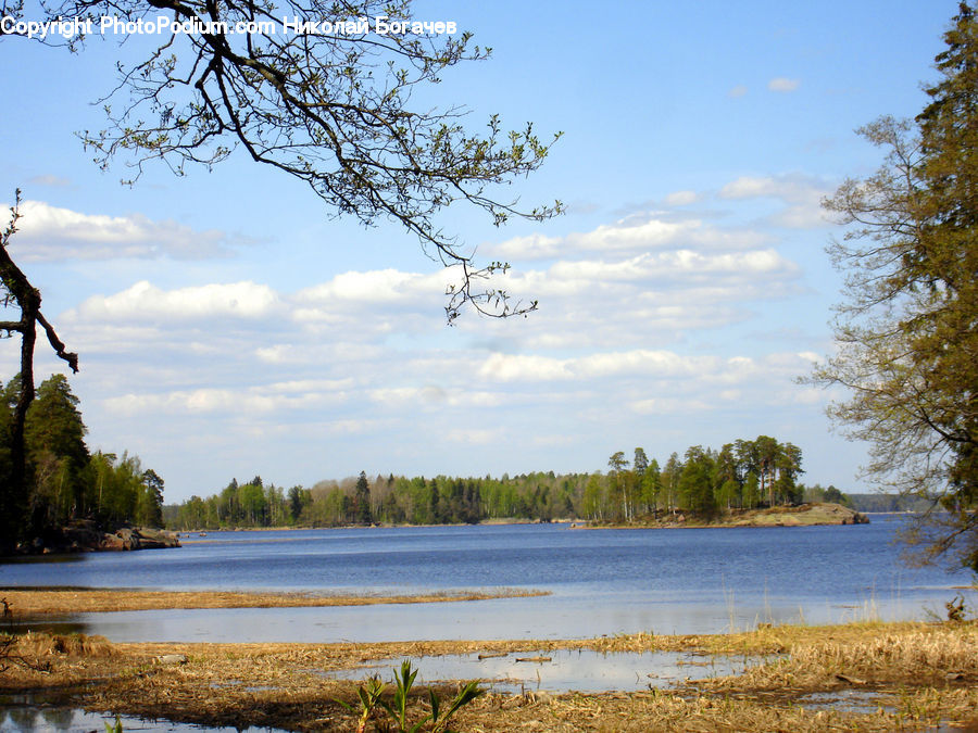 Outdoors, River, Water, Landscape, Nature, Scenery, Field