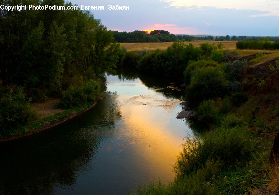 Outdoors, River, Water, Forest, Grove, Land, Canal