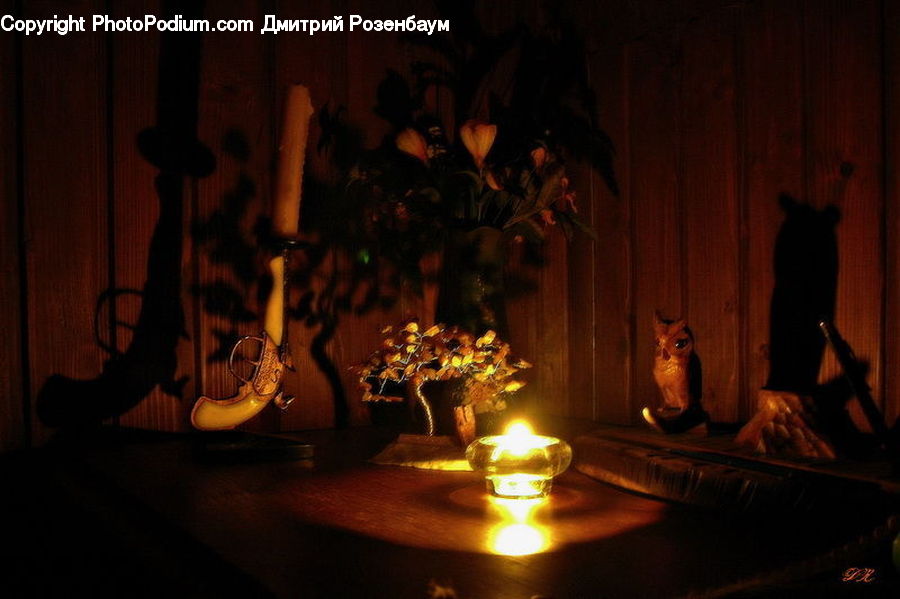 Plant, Potted Plant, People, Person, Human, Candle, Fireplace