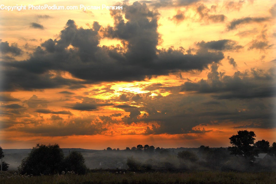 Dawn, Dusk, Red Sky, Sky, Sunrise, Sunset, Plant