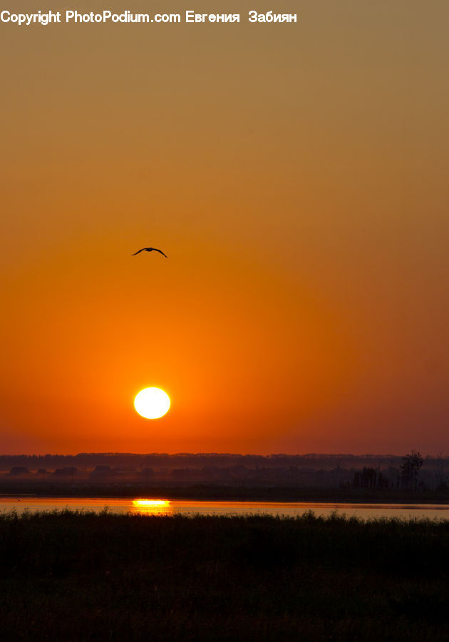 Sun, Dusk, Outdoors, Sky, Sunlight, Sunrise, Sunset