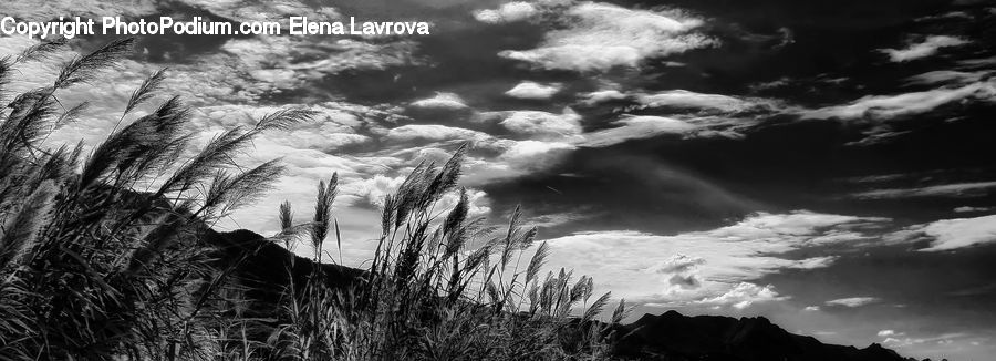 Azure Sky, Cloud, Outdoors, Sky, Cumulus, Storm, Weather