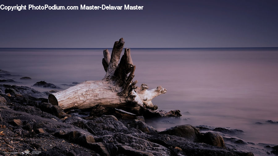 Tree Stump, Alps, Crest, Mountain, Peak, Coast, Outdoors