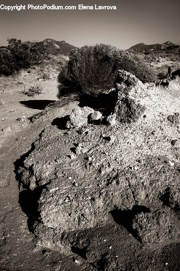 Hole, Soil, Plant, Potted Plant, Ground, Rubble, Rock