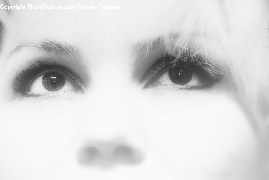 Head, Portrait, Person, Face, Female, Woman