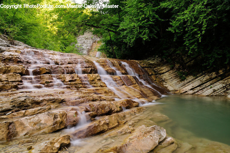 Creek, Outdoors, River, Water, Stream, Plant, Potted Plant