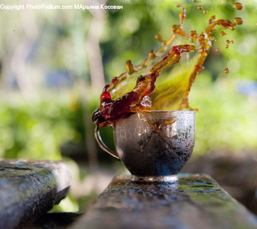 Glass, Goblet, Blossom, Flora, Flower, Plant