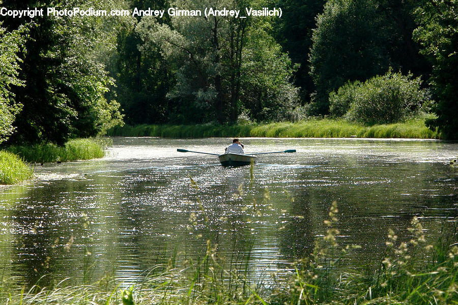 Outdoors, Pond, Water, Boat, Canoe, Rowboat, Forest