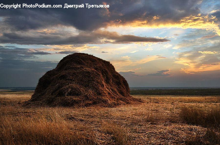 Field, Grass, Grassland, Land, Outdoors, Sky, Hay