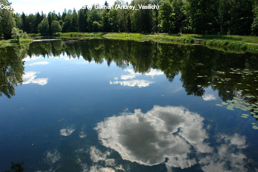Outdoors, Pond, Water, Nature, Field, Grass, Grassland