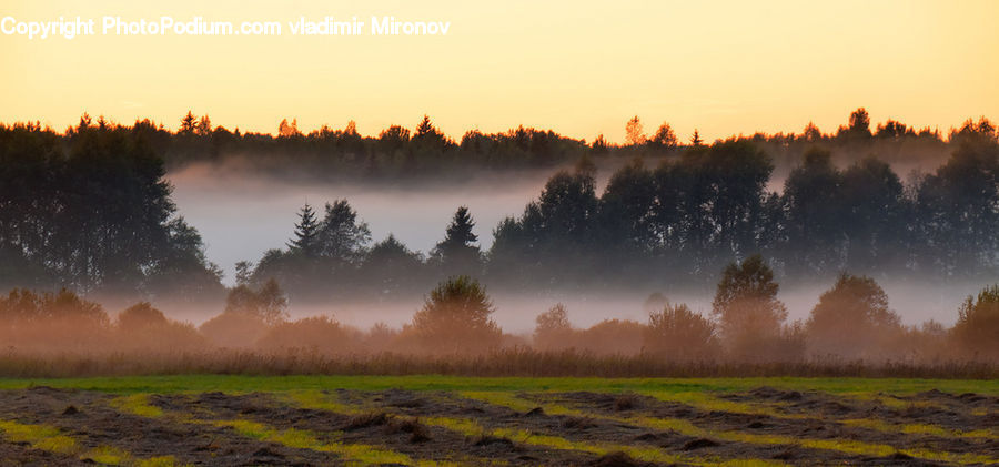 Dawn, Dusk, Sky, Sunrise, Sunset, Field, Grass