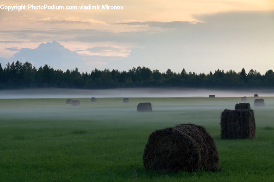 Countryside, Hay, Straw, Field, Grass, Grassland, Land