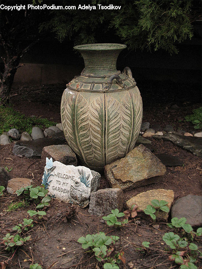 Jar, Pot, Urn, Vase, Herbal, Herbs, Plant