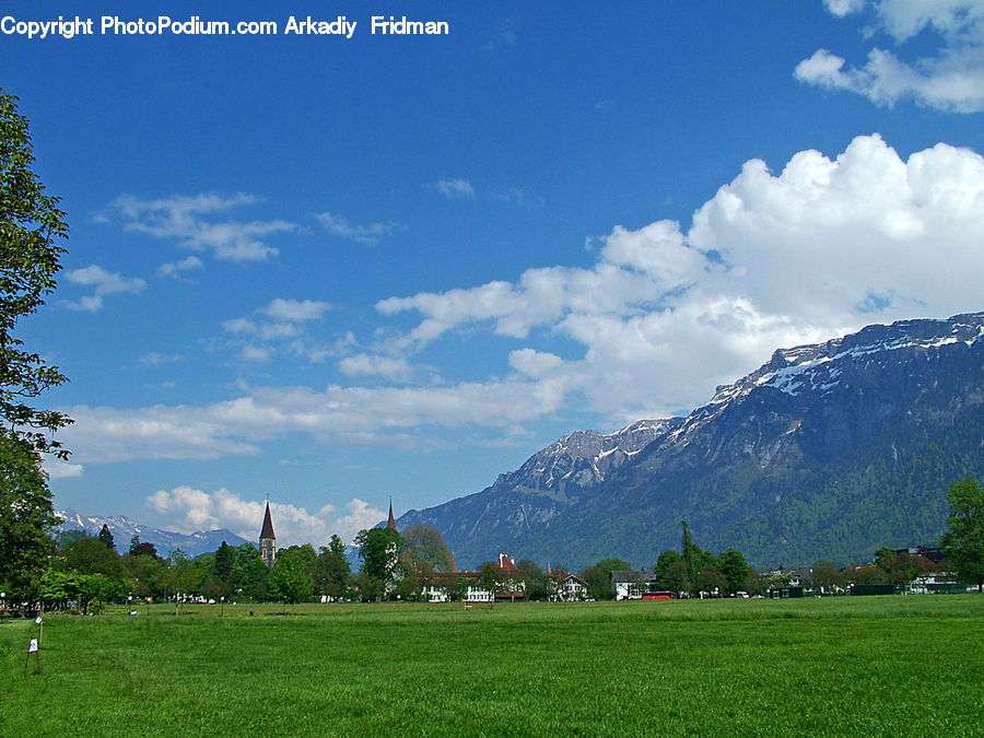 Field, Grass, Grassland, Land, Outdoors, Nature, Landscape