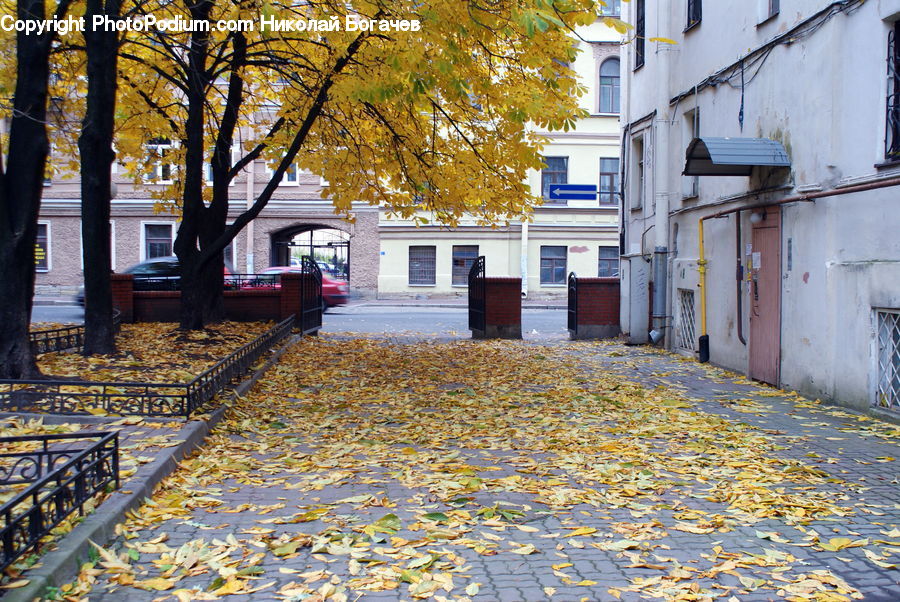 Фото по запросу Осенняя улица