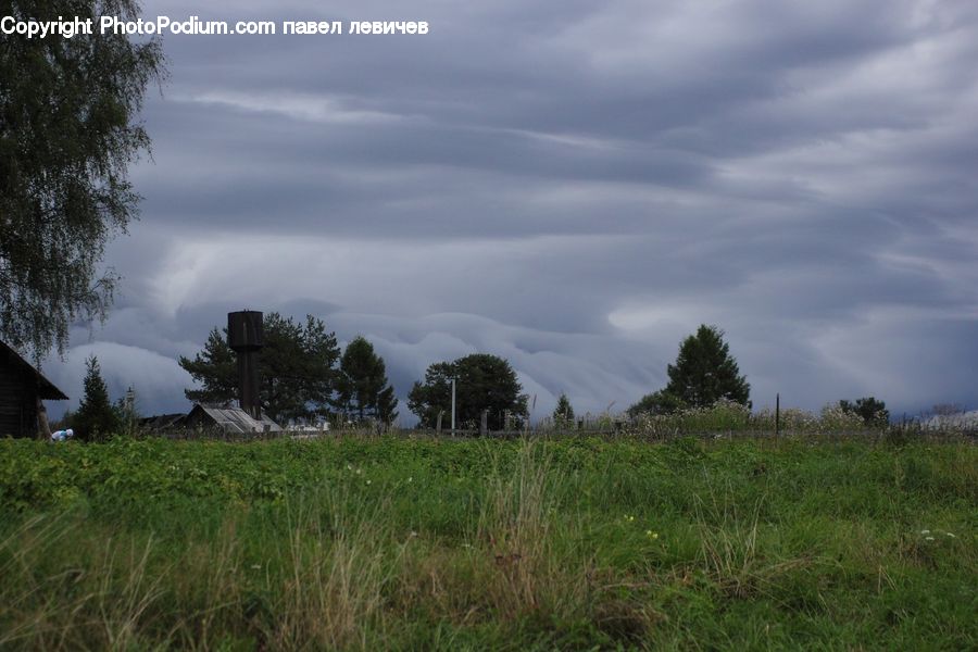 Field, Grass, Grassland, Land, Outdoors, Plant, Landscape