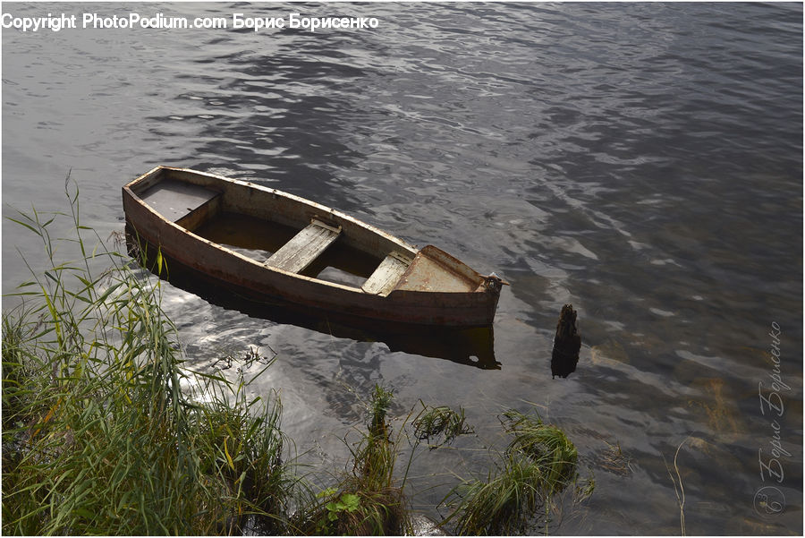 Plant, Potted Plant, Boat, Dinghy, Rowboat, Vessel, Field