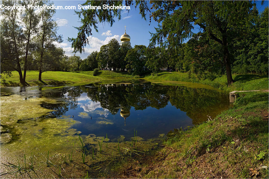 Outdoors, Pond, Water, Land, Marsh, Swamp, Architecture