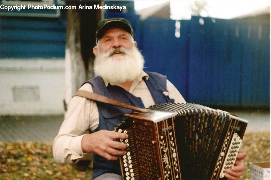 People, Person, Human, Accordion, Musical Instrument, Musician, Performer