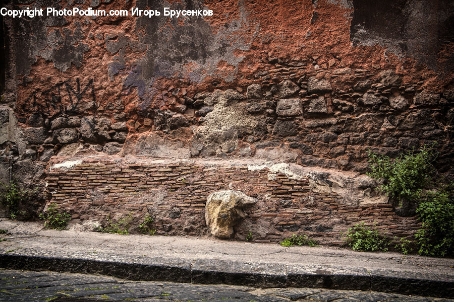 Path, Road, Walkway, Rock, Animal, Canine, Coyote