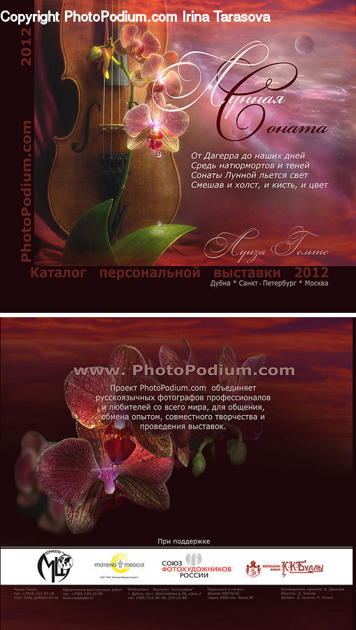Blossom, Flora, Flower, Orchid, Plant, Brochure, Flyer