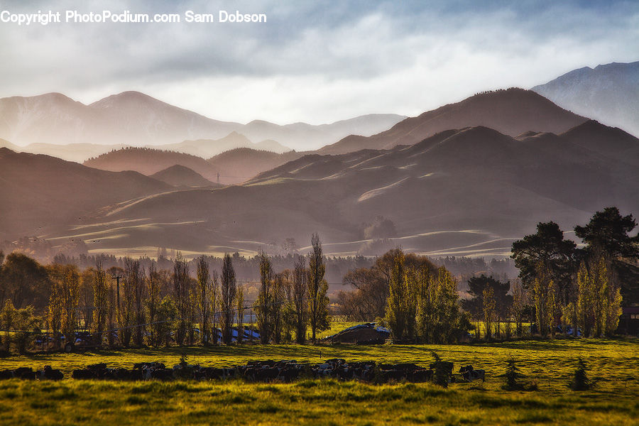 Crest, Mountain, Mountain Range, Outdoors, Peak, Field, Grass