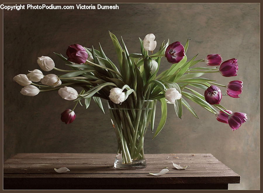 Glass, Goblet, Jar, Porcelain, Vase, Floral Design, Flower