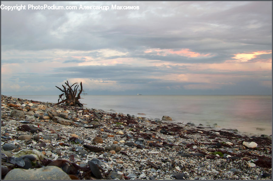 Driftwood, Wood, Coast, Outdoors, Sea, Water, Rubble